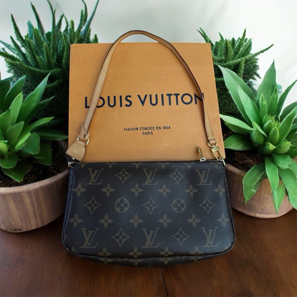 Louis vuitton pochette accessories